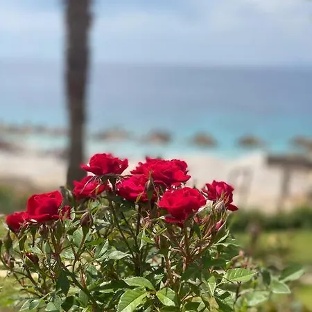 Appartamento Green Coast Palace & Residences 17